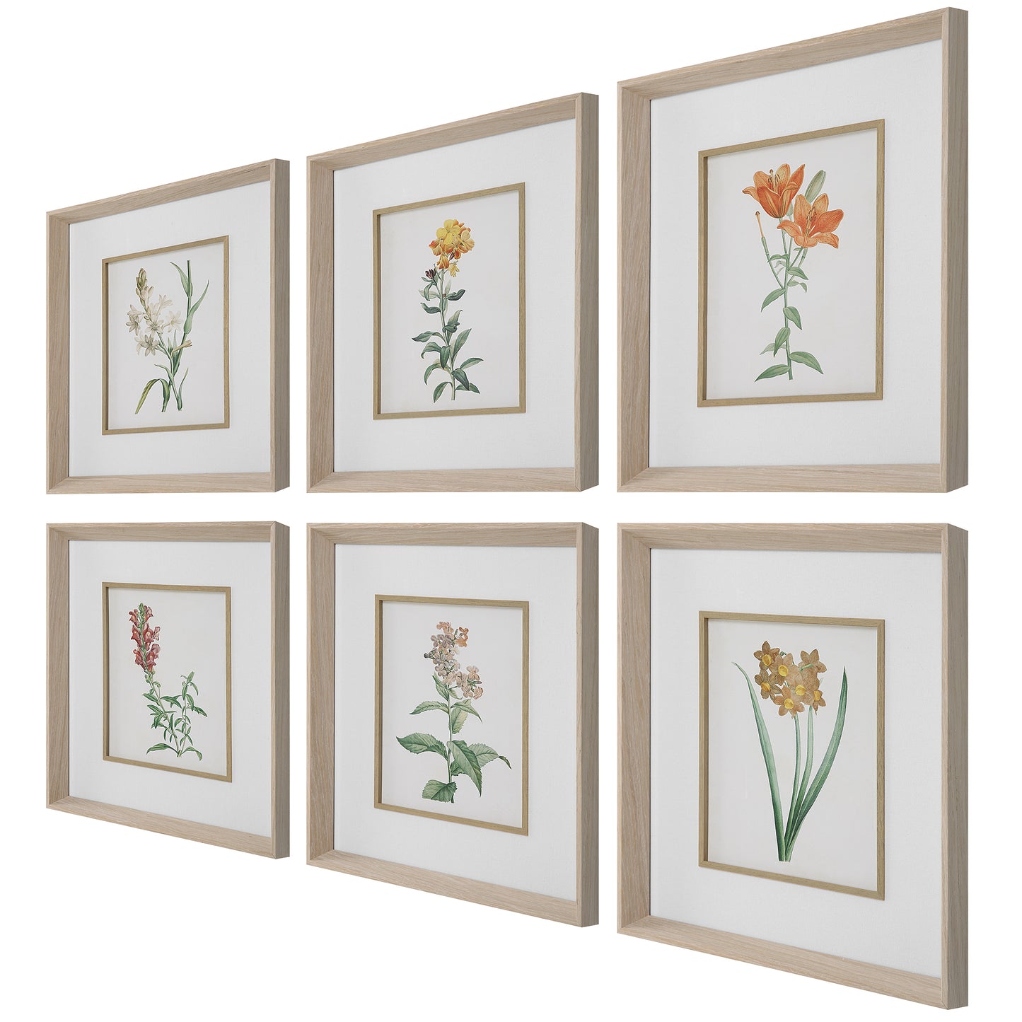 Uttermost Classic Botanicals Framed Prints Set/6 32284