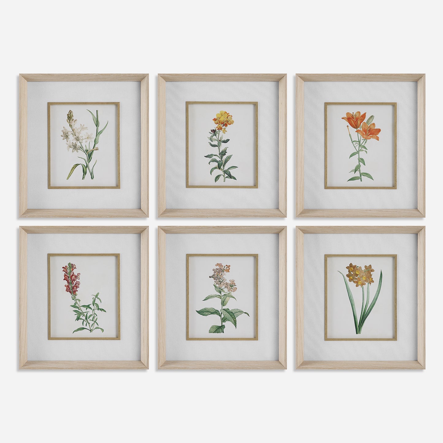 Uttermost Classic Botanicals Framed Prints Set/6 32284