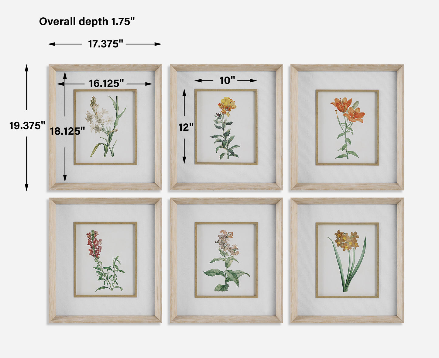 Uttermost Classic Botanicals Framed Prints Set/6 32284