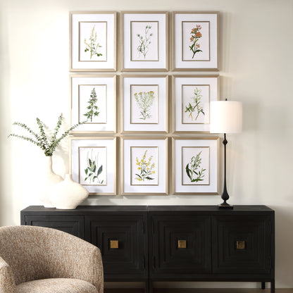 Uttermost Botanical Flowers Framed Prints, S/9 32339