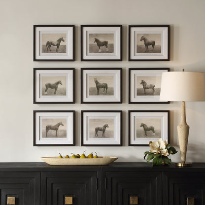 Uttermost Equine Dynasty Framed Prints, S/9 32343