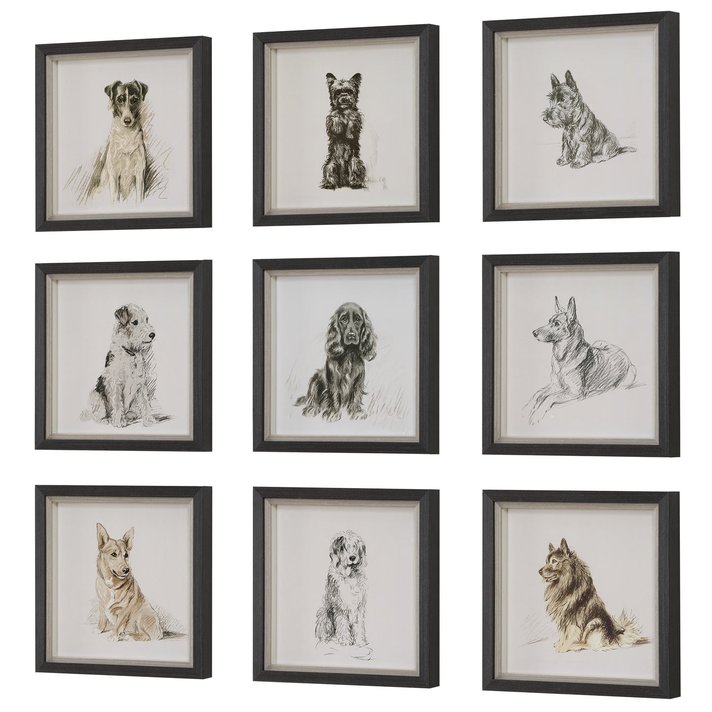 Uttermost Loyal Companion Framed Dog Prints, S/9 32344