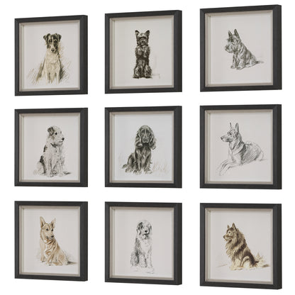 Uttermost Loyal Companion Framed Dog Prints, S/9 32344