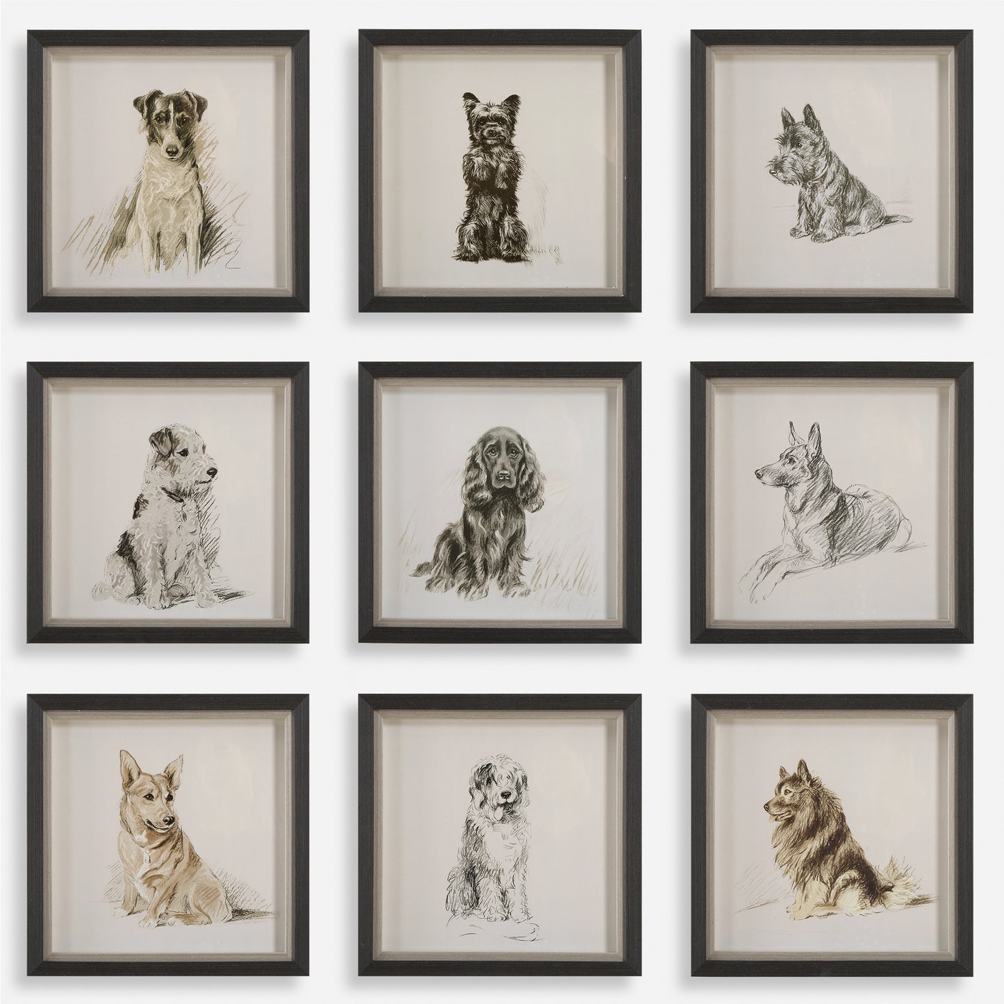 Uttermost Loyal Companion Framed Dog Prints, S/9 32344