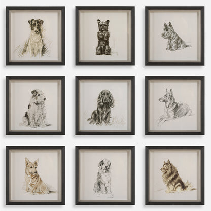 Uttermost Loyal Companion Framed Dog Prints, S/9 32344