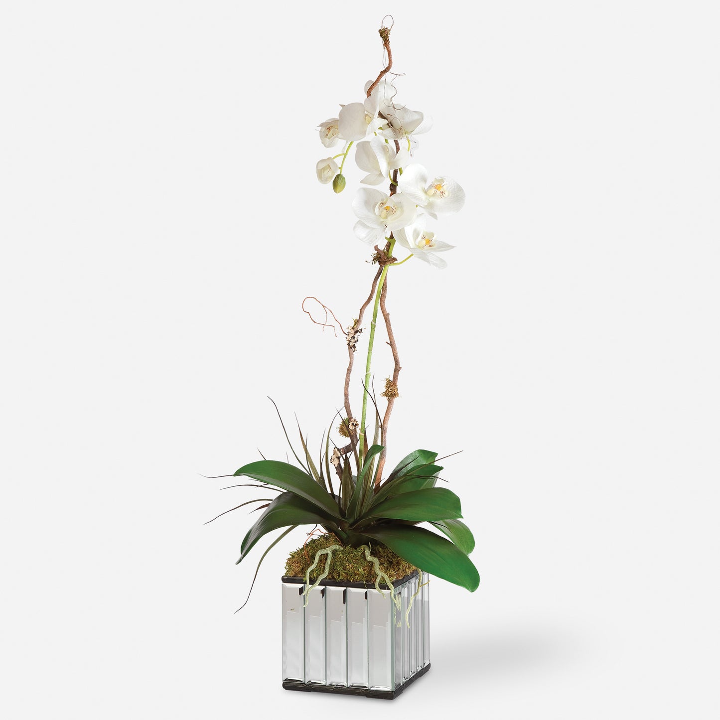 Uttermost White Kaleama Orchids 60122