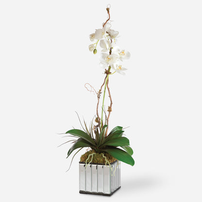 Uttermost White Kaleama Orchids 60122