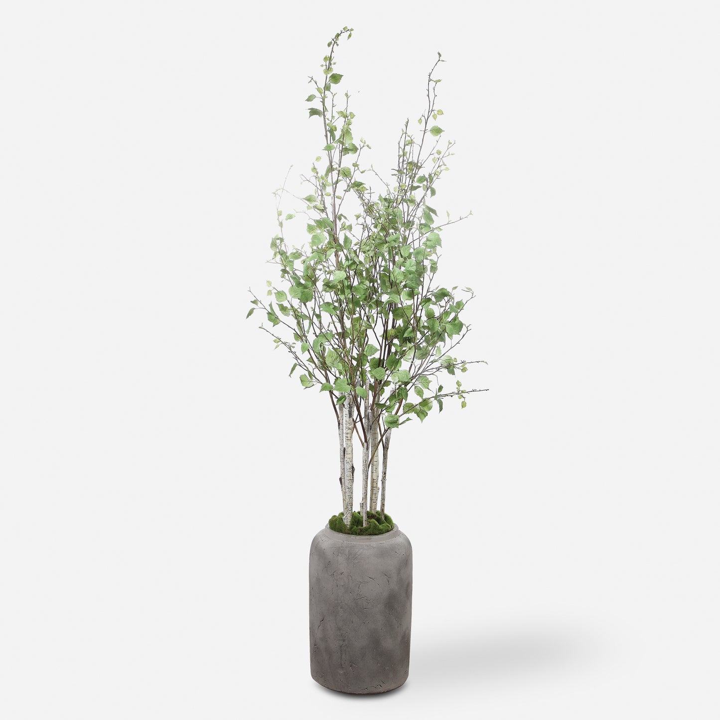 Uttermost Aldis Potted River Birch 60146