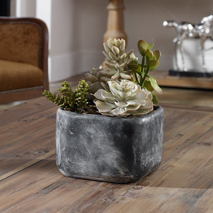 Uttermost Alverio Desert Garden Succulents 60173