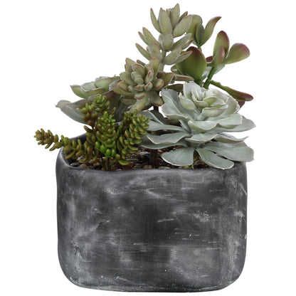 Uttermost Alverio Desert Garden Succulents 60173