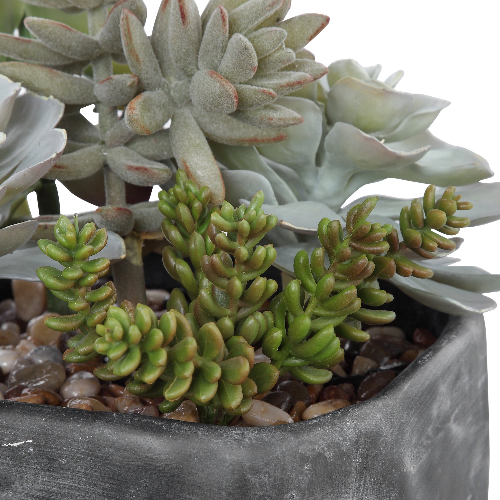 Uttermost Alverio Desert Garden Succulents 60173