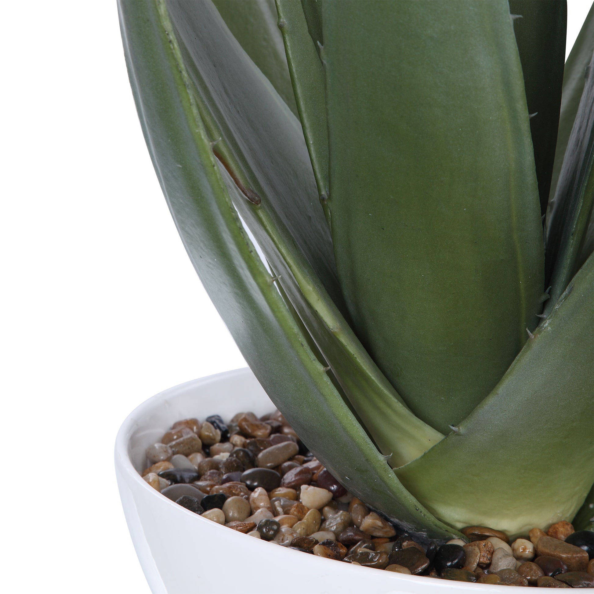 Uttermost Evarado Aloe Planter 60177