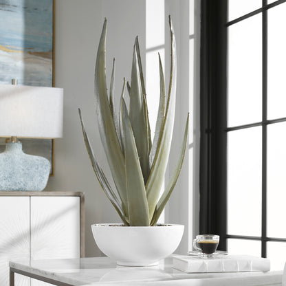 Uttermost Evarado Aloe Planter 60177