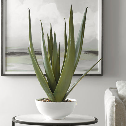 Uttermost Evarado Aloe Planter 60177