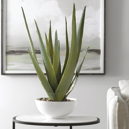 Uttermost Evarado Aloe Planter 60177