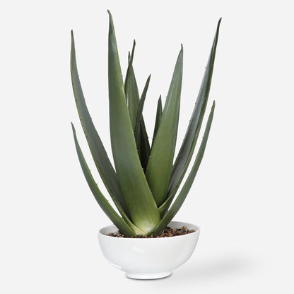 Uttermost Evarado Aloe Planter 60177