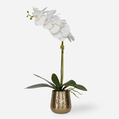 Uttermost Cami Orchid With Brass Pot 60189