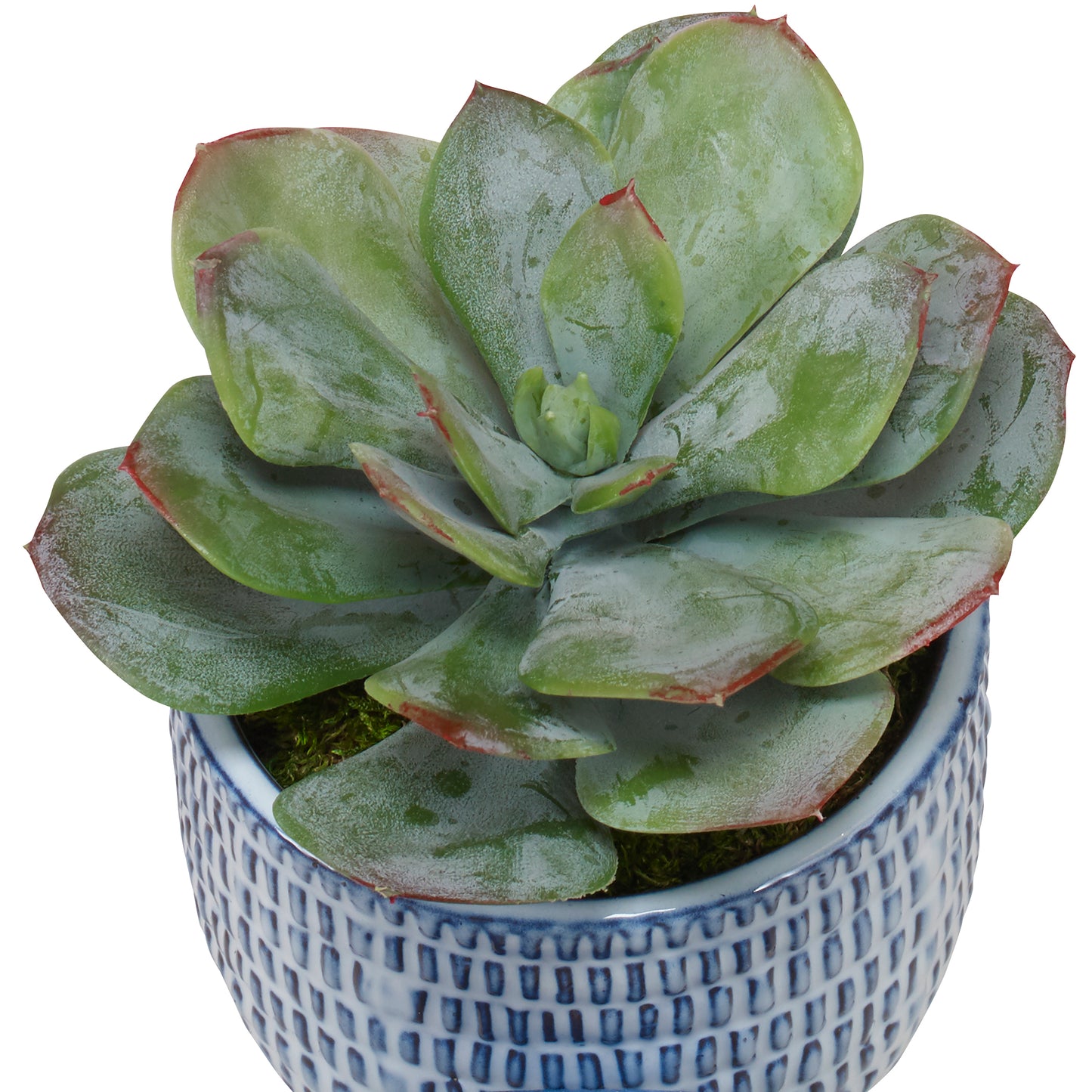 Uttermost Puebla Greenery In Blue & White Pots, S/3 60192