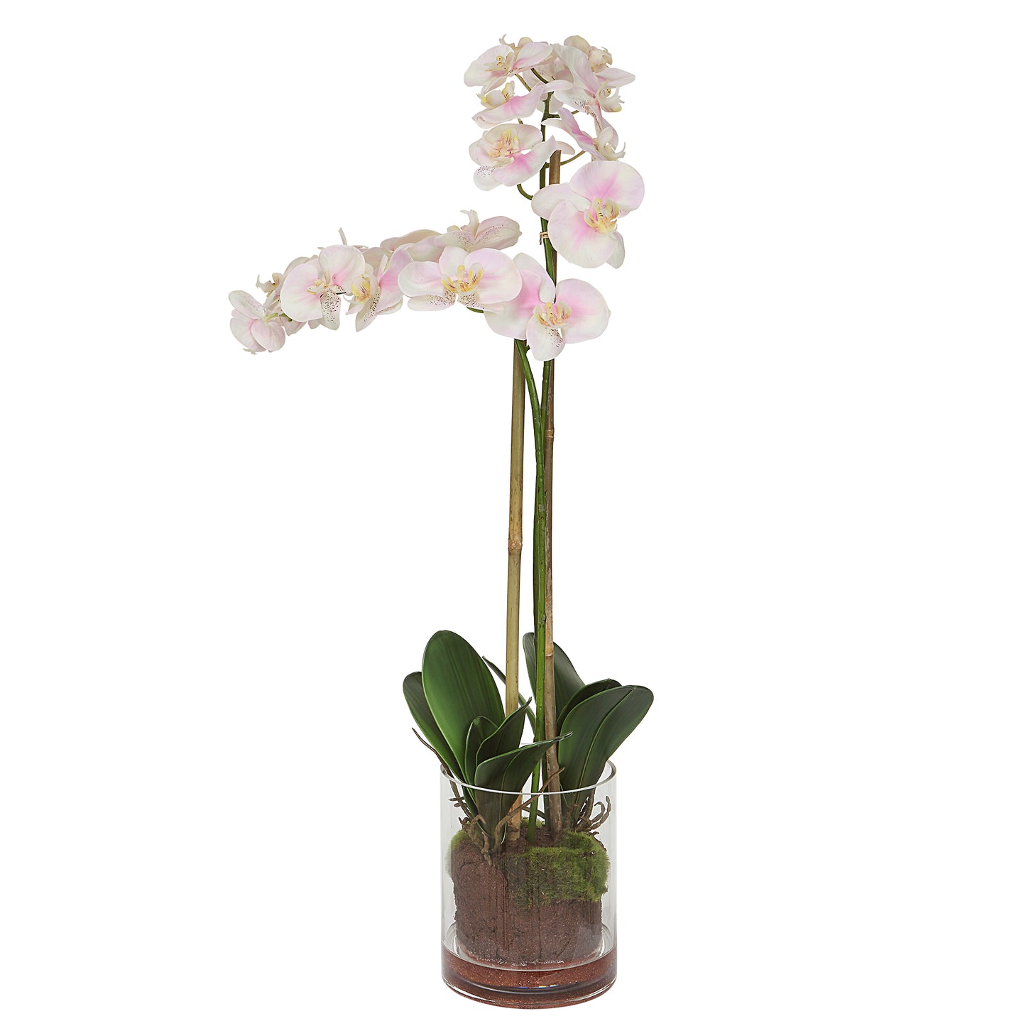 Uttermost Blush Pink And White Orchid 60196