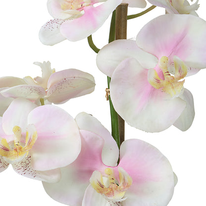 Uttermost Blush Pink And White Orchid 60196