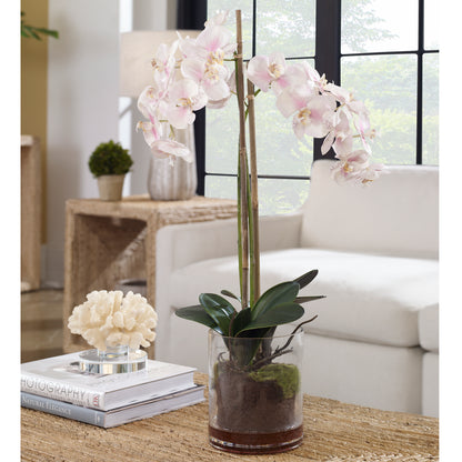 Uttermost Blush Pink And White Orchid 60196