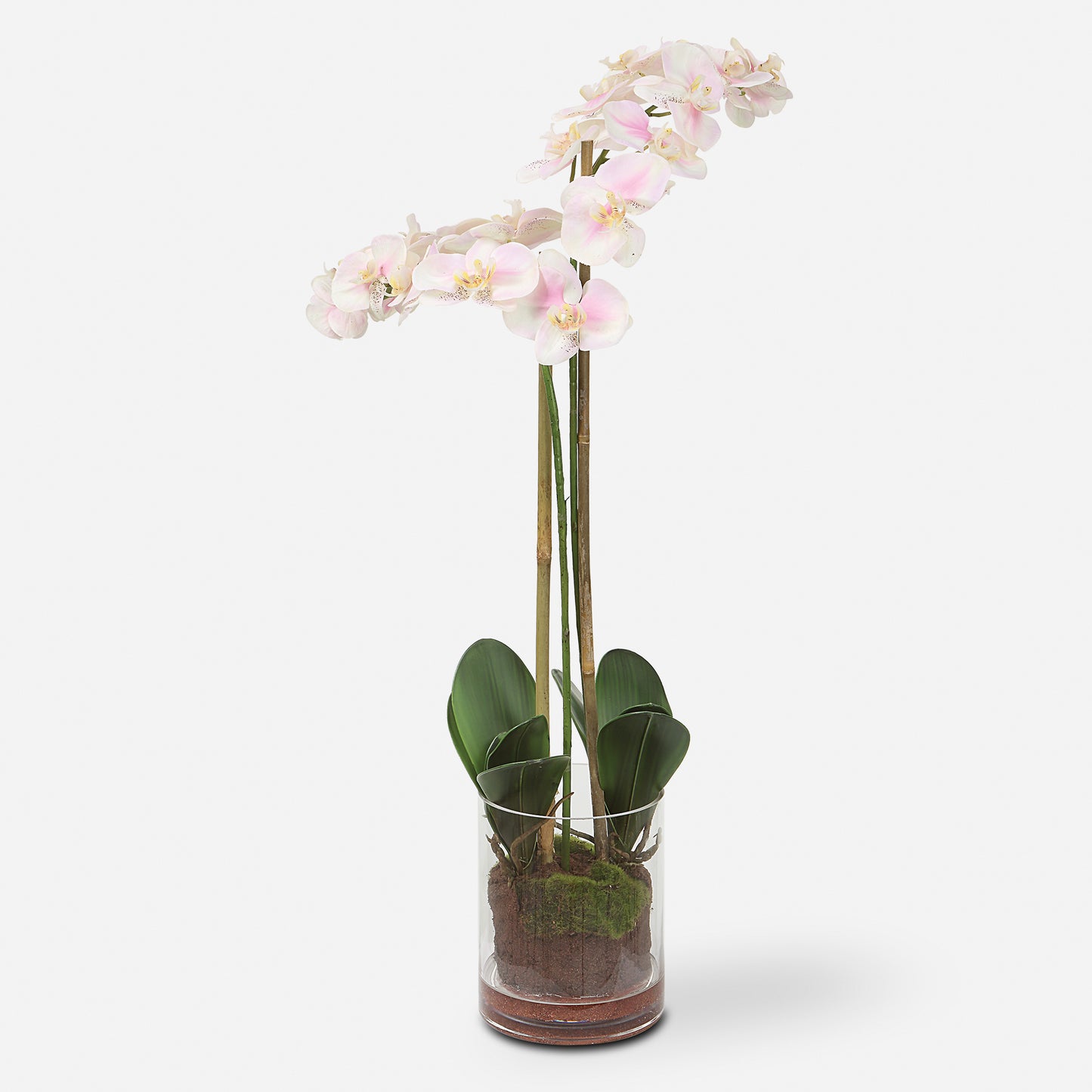 Uttermost Blush Pink And White Orchid 60196