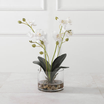 Uttermost Glory Orchid 60201