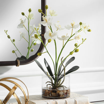 Uttermost Glory Orchid 60201