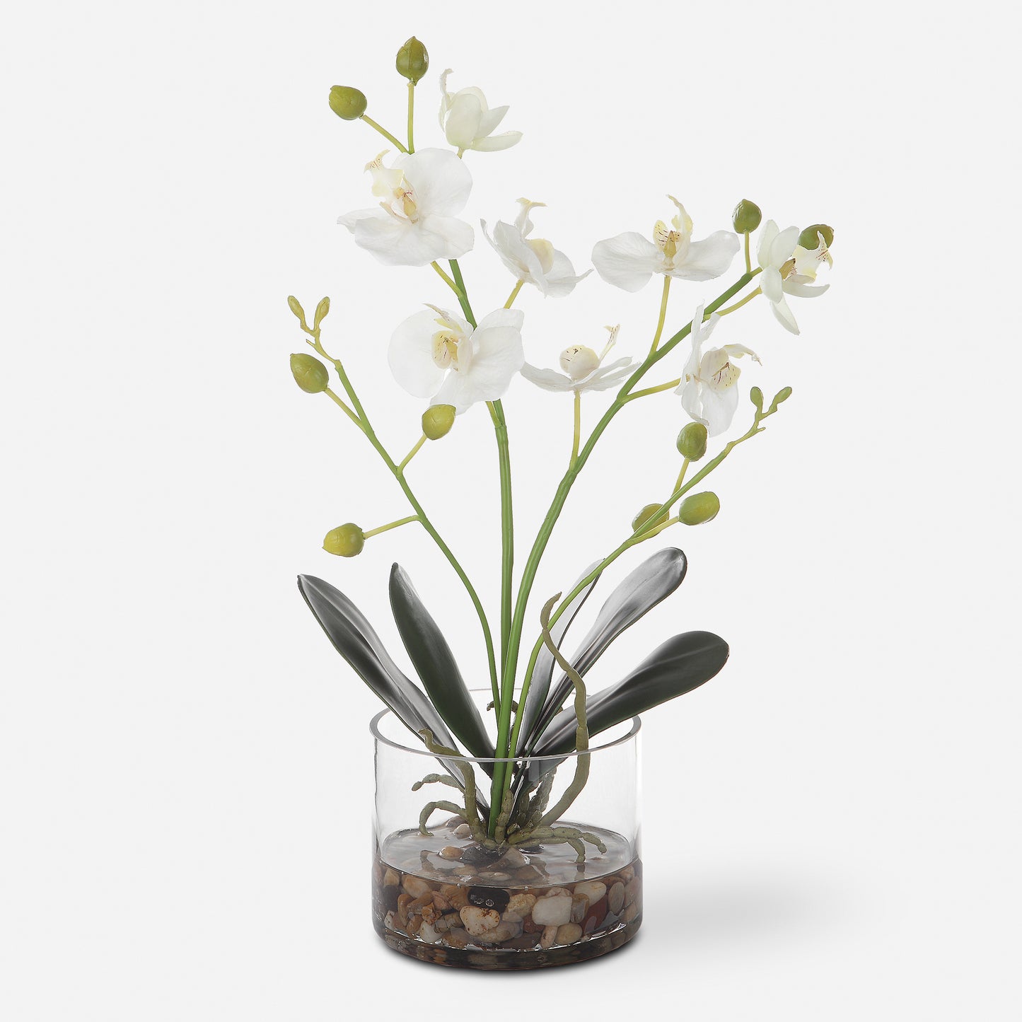 Uttermost Glory Orchid 60201