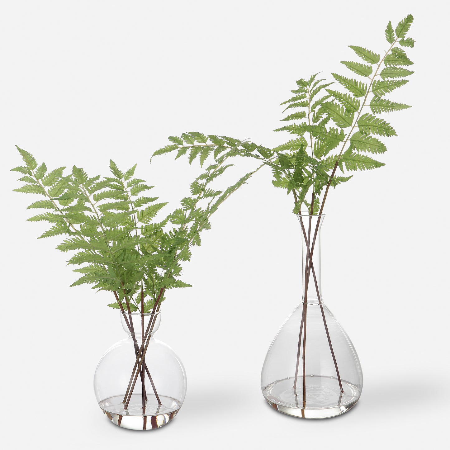 Uttermost Country Ferns, S/2 60202