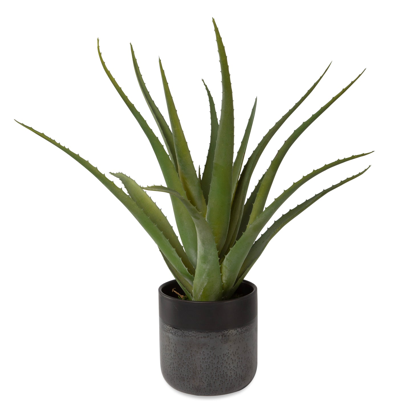 Uttermost Tucson Aloe Planter 60204