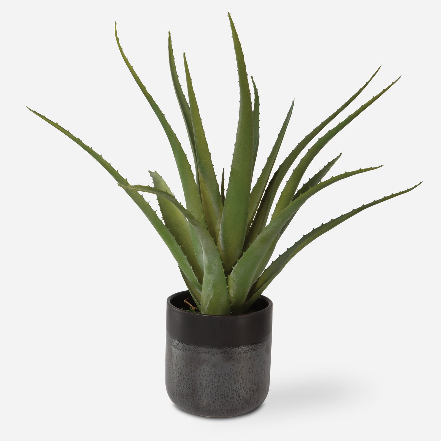 Uttermost Tucson Aloe Planter 60204