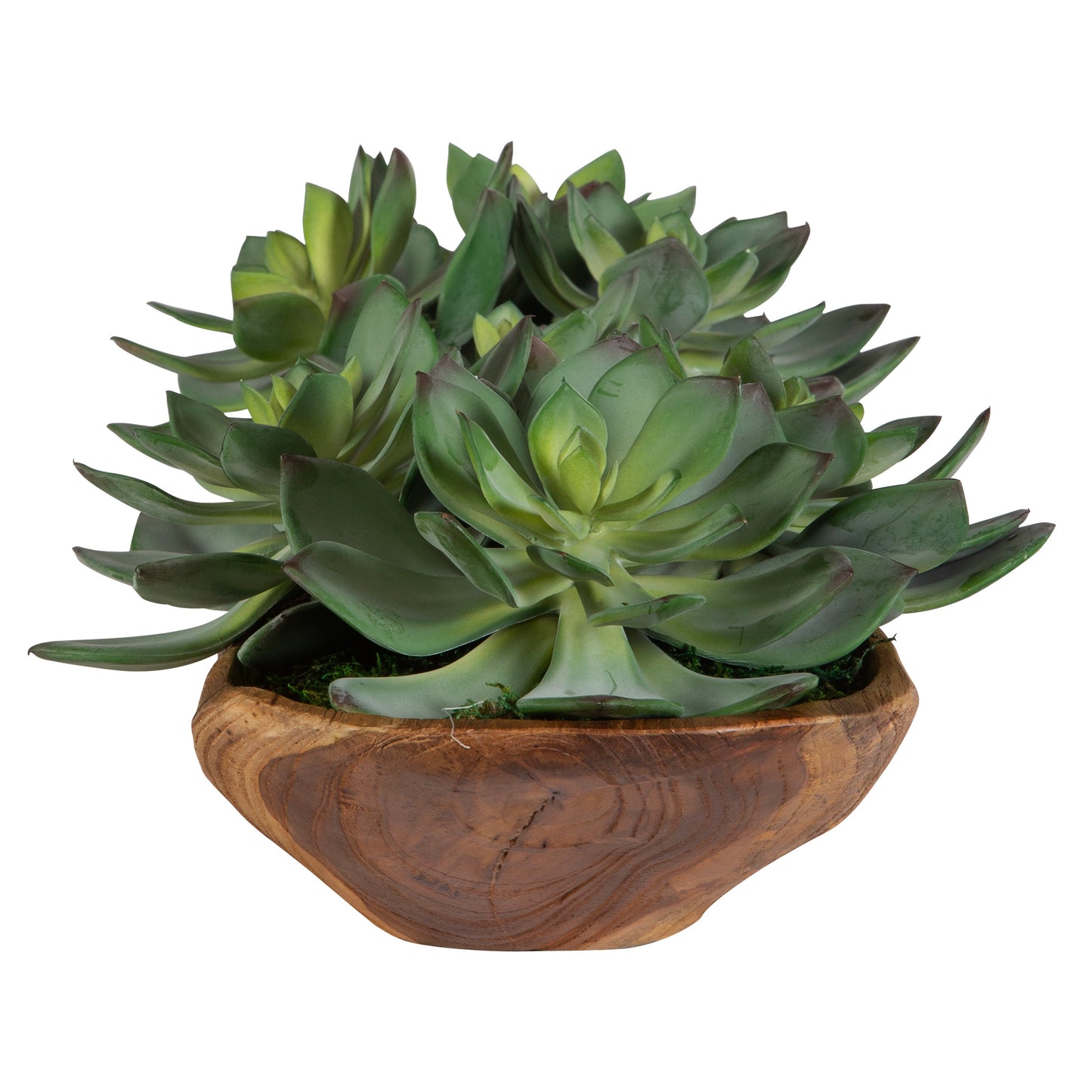 Uttermost Yuma Succulent Centerpiece 60205