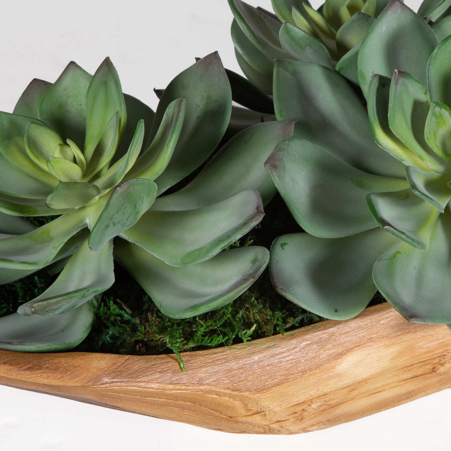 Uttermost Yuma Succulent Centerpiece 60205