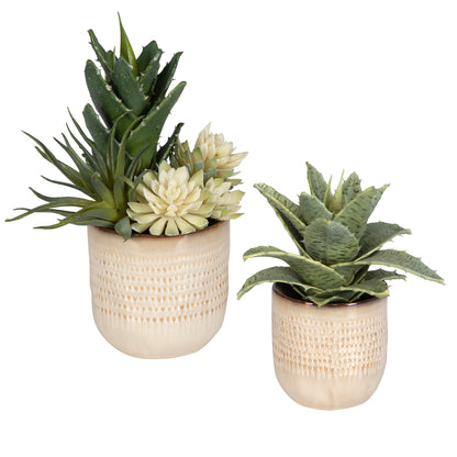 Uttermost Seaside Succulents, Set/2 60208