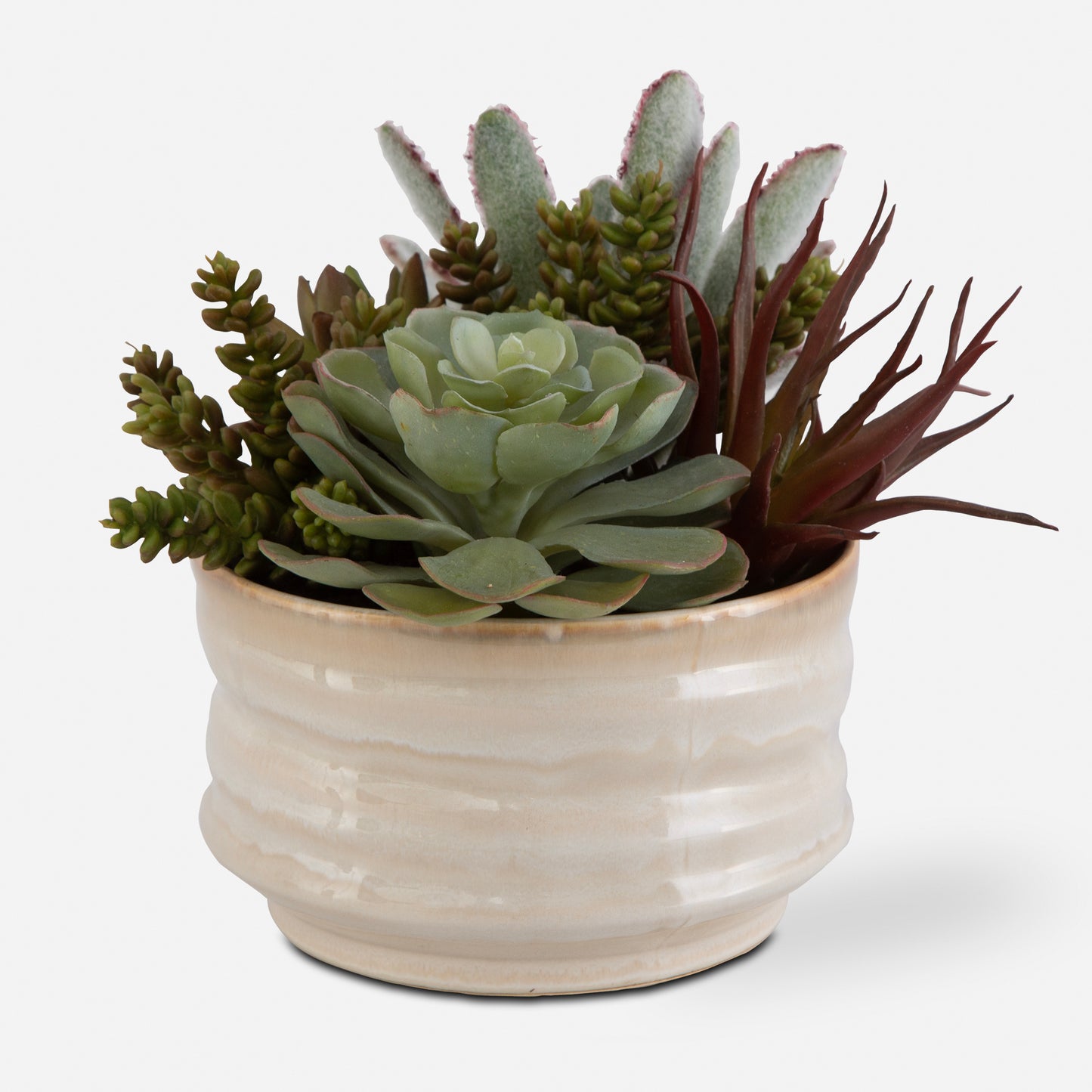 Uttermost Mesa Succulent Accent 60209