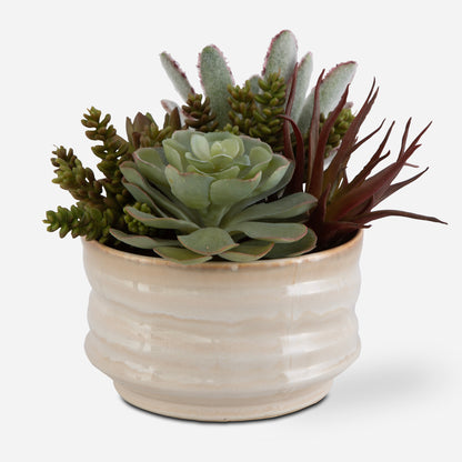 Uttermost Mesa Succulent Accent 60209