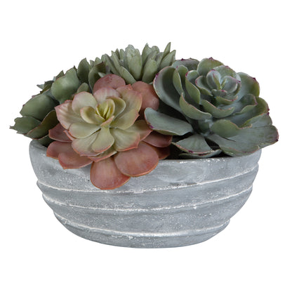 Uttermost Peoria Succulent Accent 60212