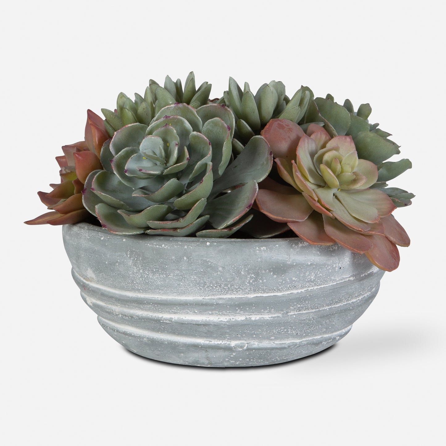 Uttermost Peoria Succulent Accent 60212