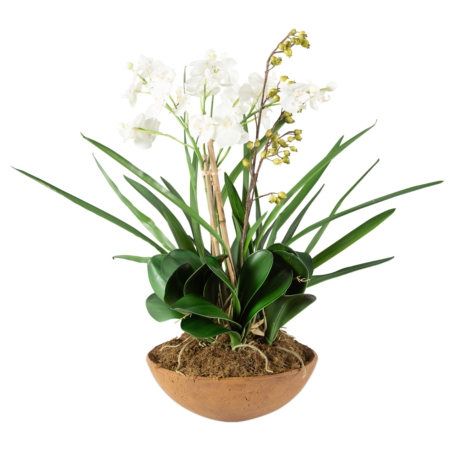 Uttermost Moth Orchid Planter 60039