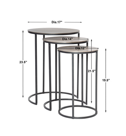 Uttermost Erik Metal Nesting Tables, S/3 25057