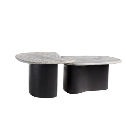 Arteriors Home Melt Coffee Tables, Set Of 2 GAFCI01