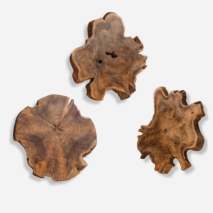 Uttermost Kalani Teak Wall Art Set/3 04085