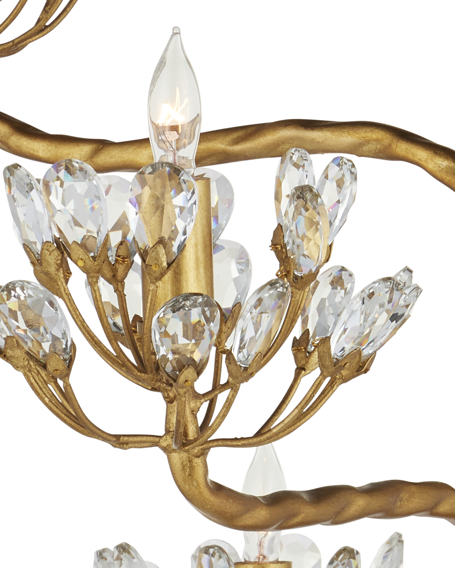 Currey & Co. Agave Americana Gold Floor Lamp 8000-0045