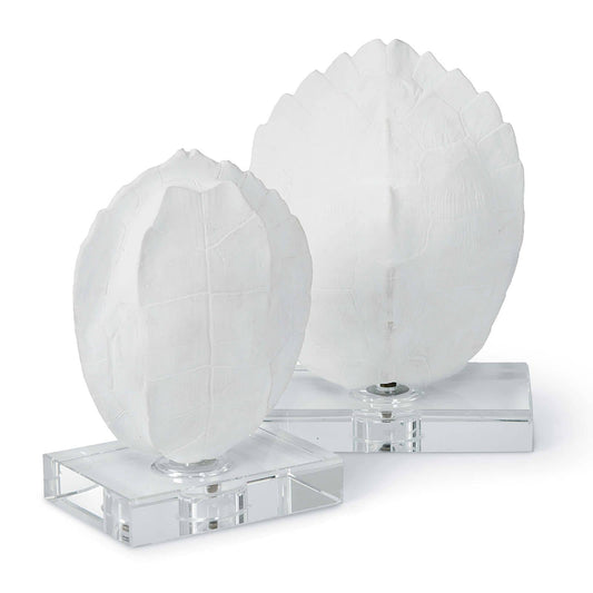 Regina Andrew Turtle Shells On Crystal (Set of 2)  20-1043