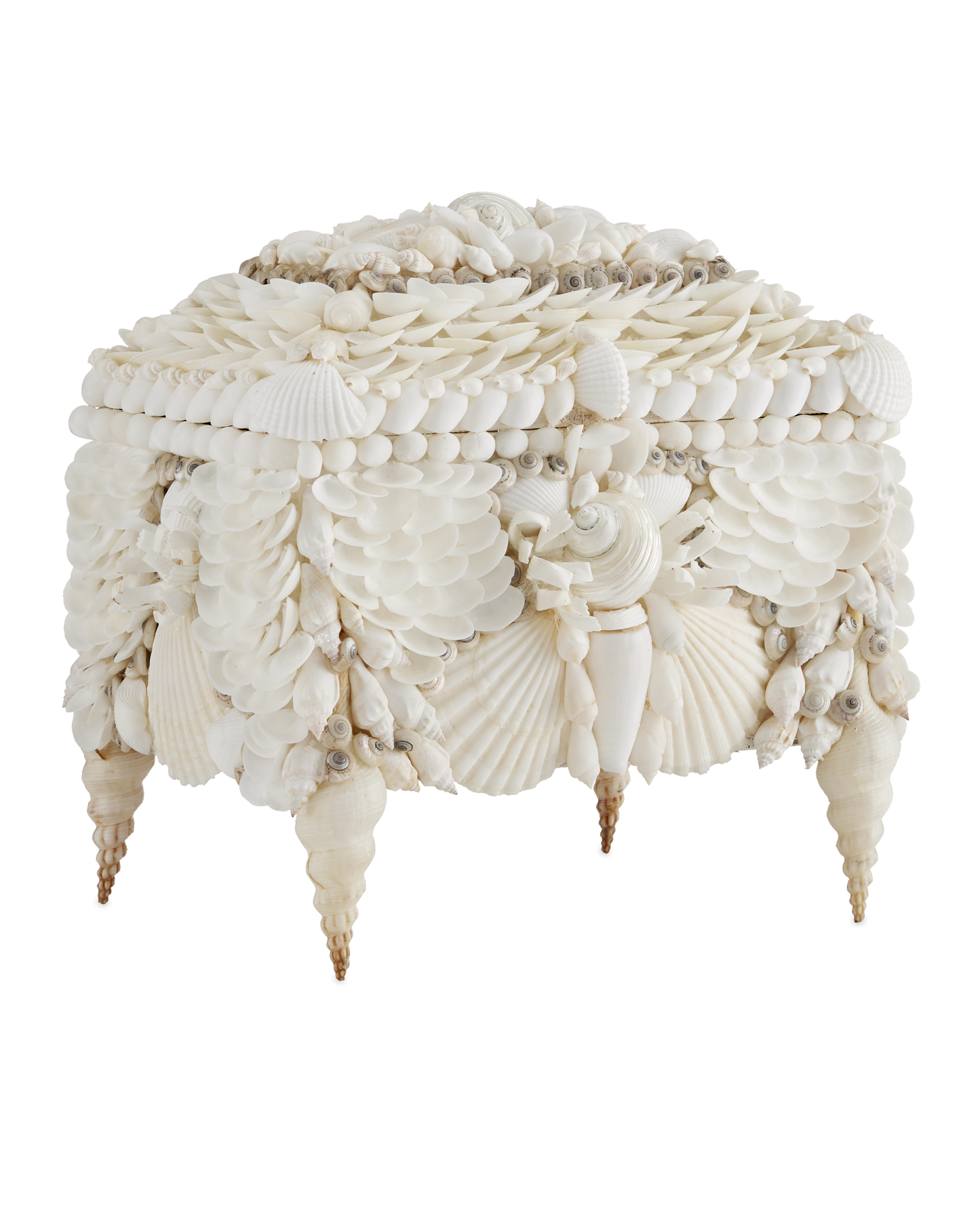 Currey & Co. Boardwalk White Shell Jewelry Box 1200-0612