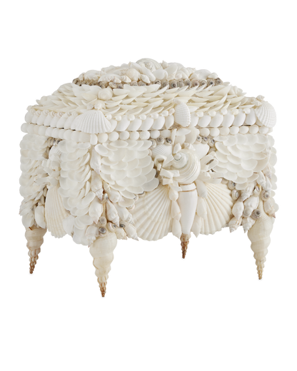 Currey & Co. Boardwalk White Shell Jewelry Box 1200-0612