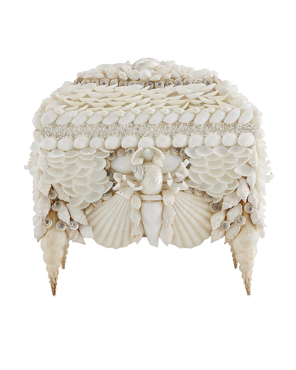 Currey & Co. Boardwalk White Shell Jewelry Box 1200-0612