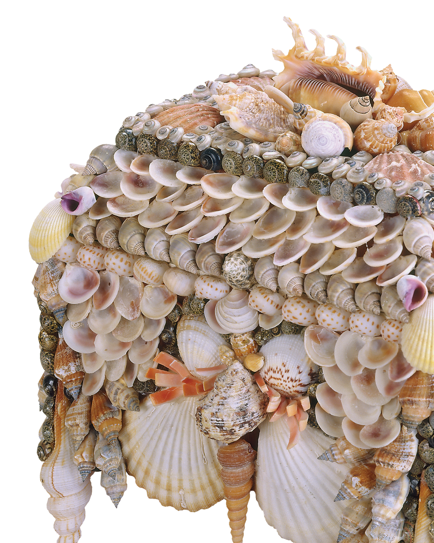 Currey & Co. Boardwalk Natural Shell Jewelry Box 1251