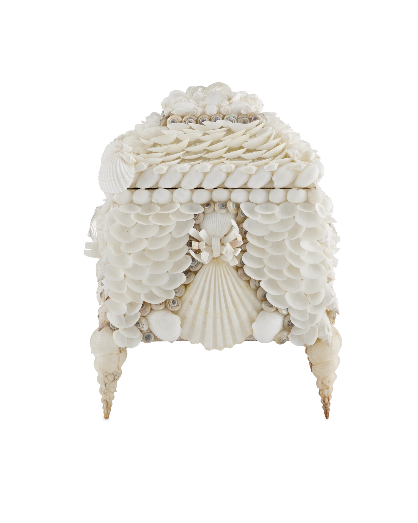 Currey & Co. Boardwalk White Shell Jewelry Box 1200-0612